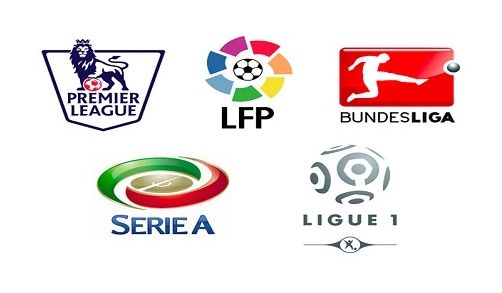 他不仅贡献 他不仅贡献